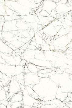 大理石貼圖 現代設計中的經典魅力